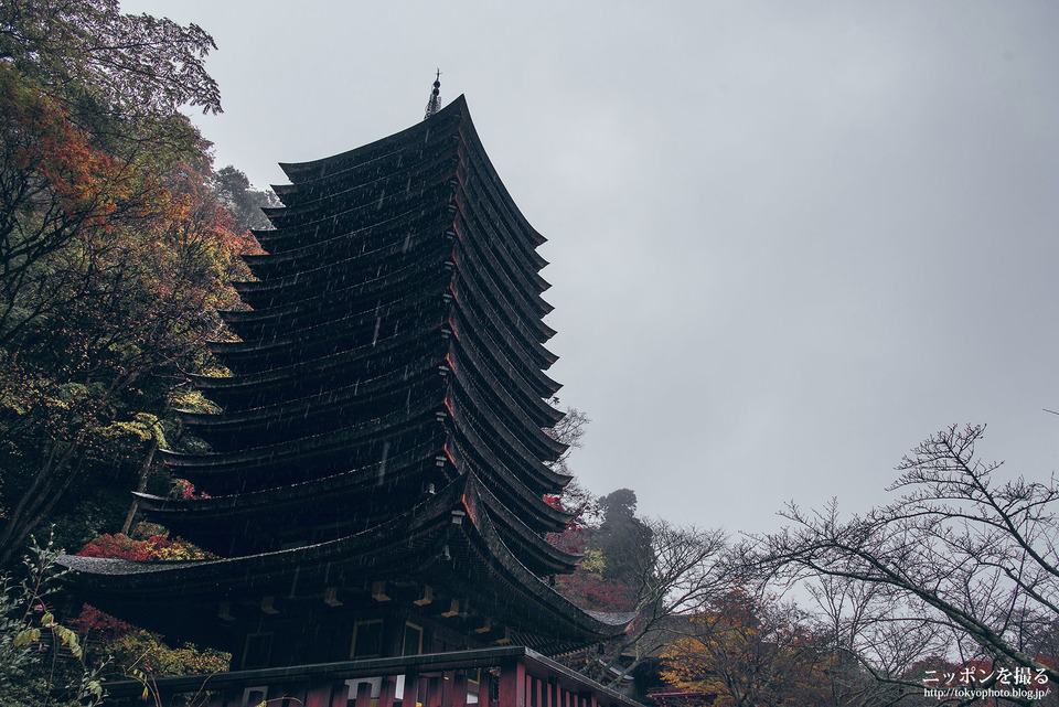 奈良_桜井市_談山神社_0276