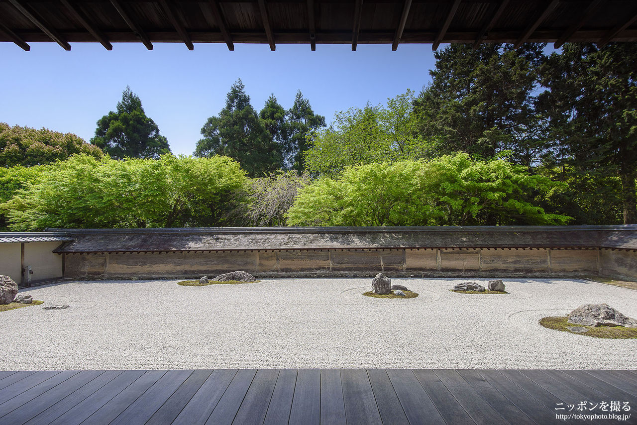 京都の新緑 龍安寺 さわやかな石庭 ニッポンを撮る