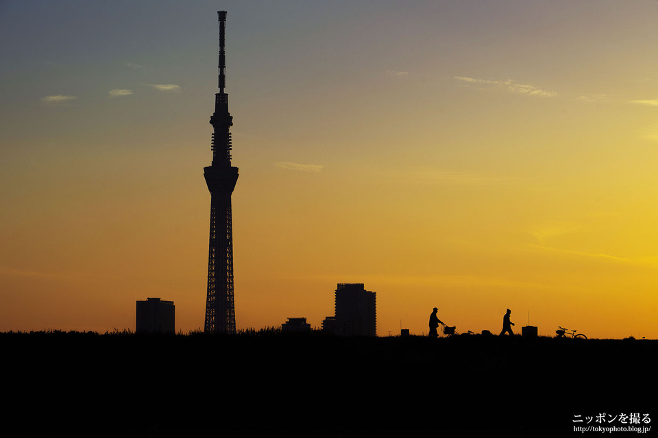 東京都_葛飾区_四ツ木_荒川土手_190218_0147