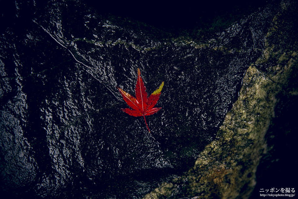 奈良_桜井市_談山神社_0240