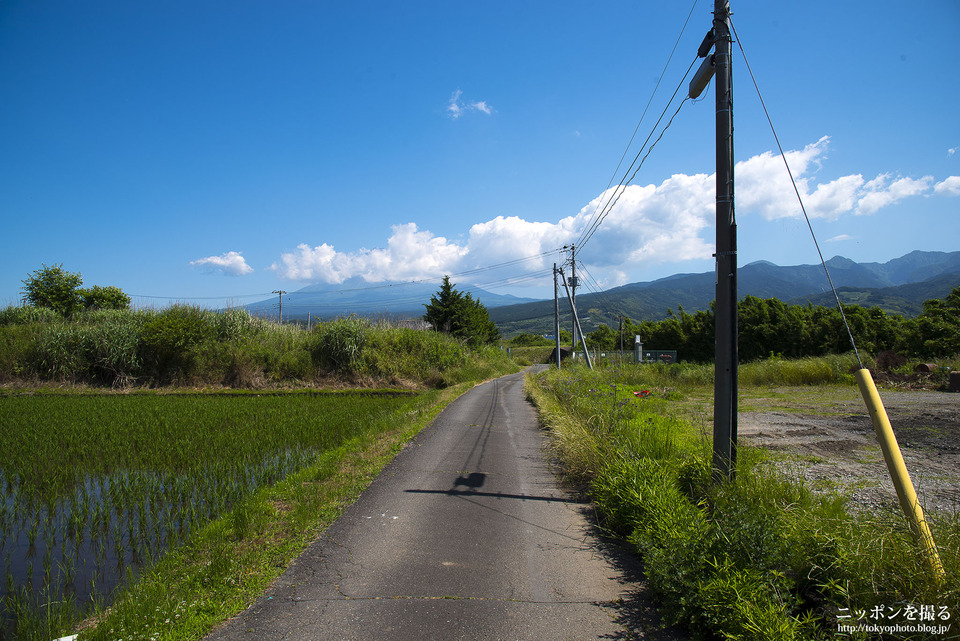 新幹線と富士山_0177