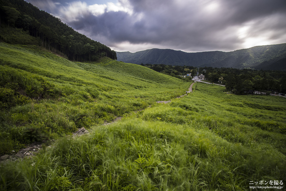 仙石原高原_0231