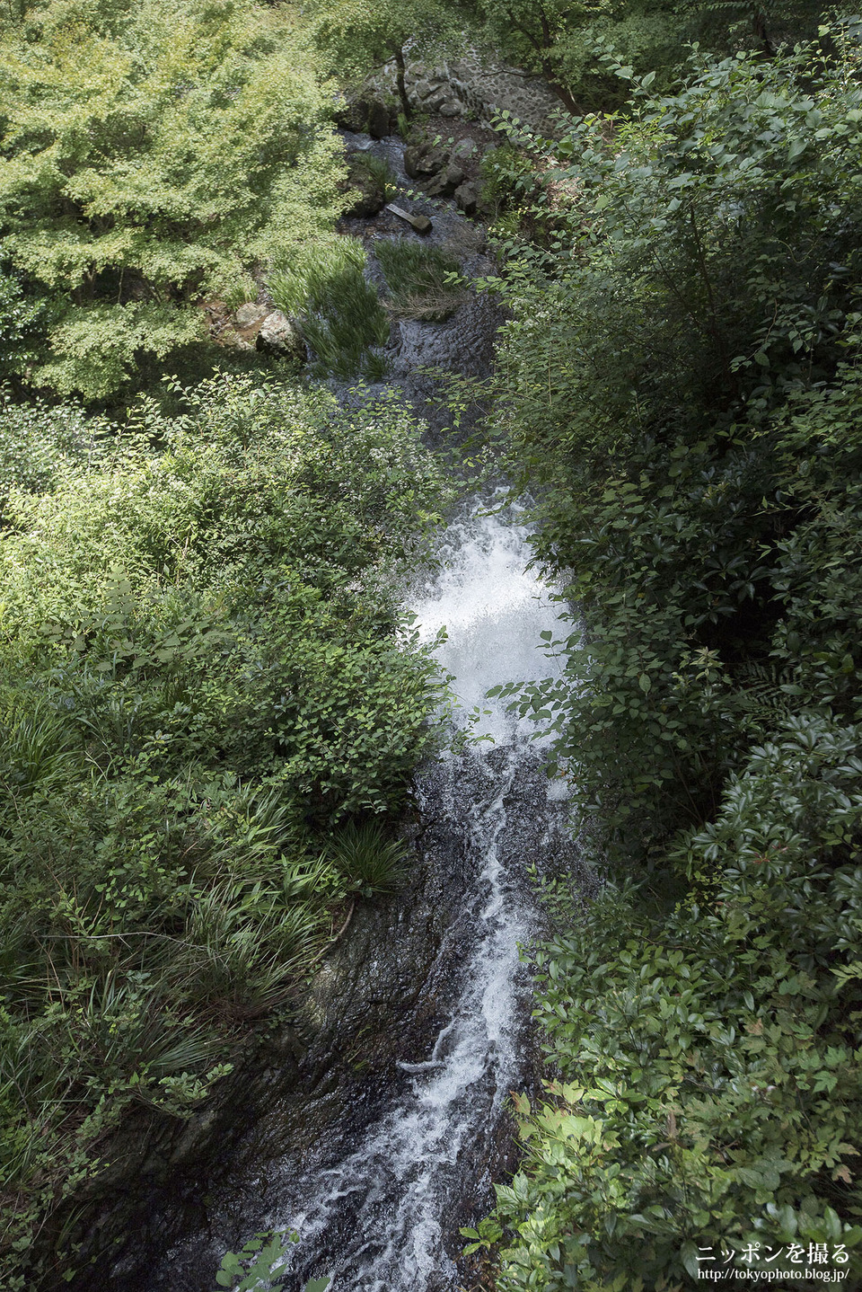 岐阜県_八百津町_五宝滝_0494