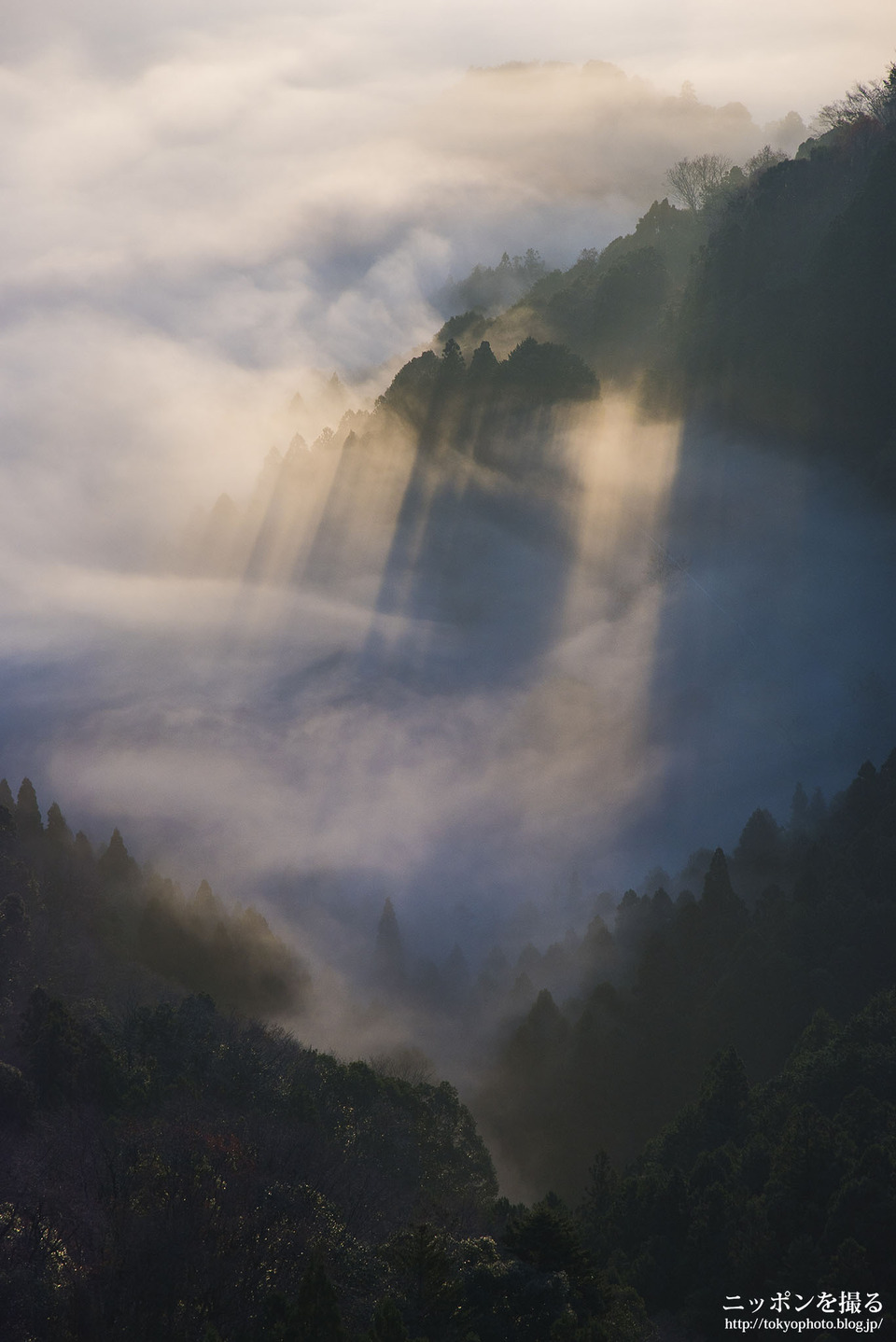三重県_大台町_相津峠_0148