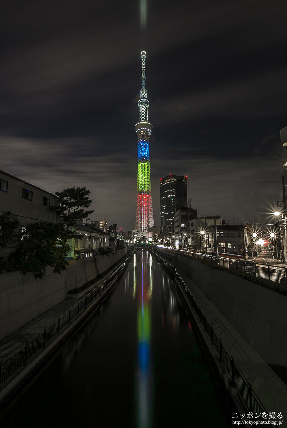 21_上から撮ることだけでなく下から撮るのも面白い
