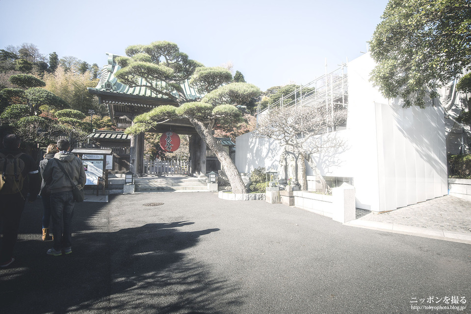 神奈川県_鎌倉市_長谷寺_0121