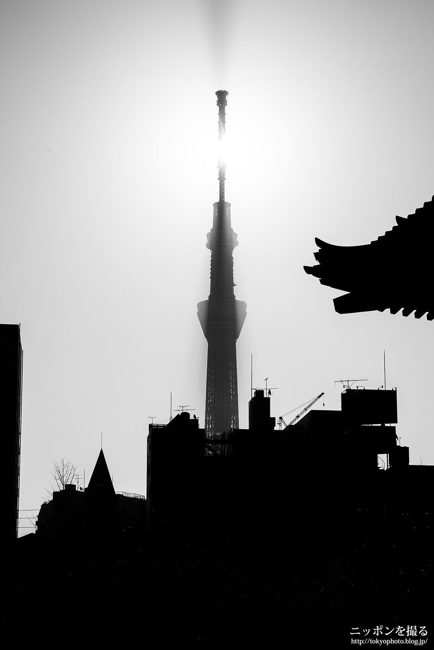 写真付 地図もあるよ 東京スカイツリーの撮影スポット紹介 ニッポンを撮る