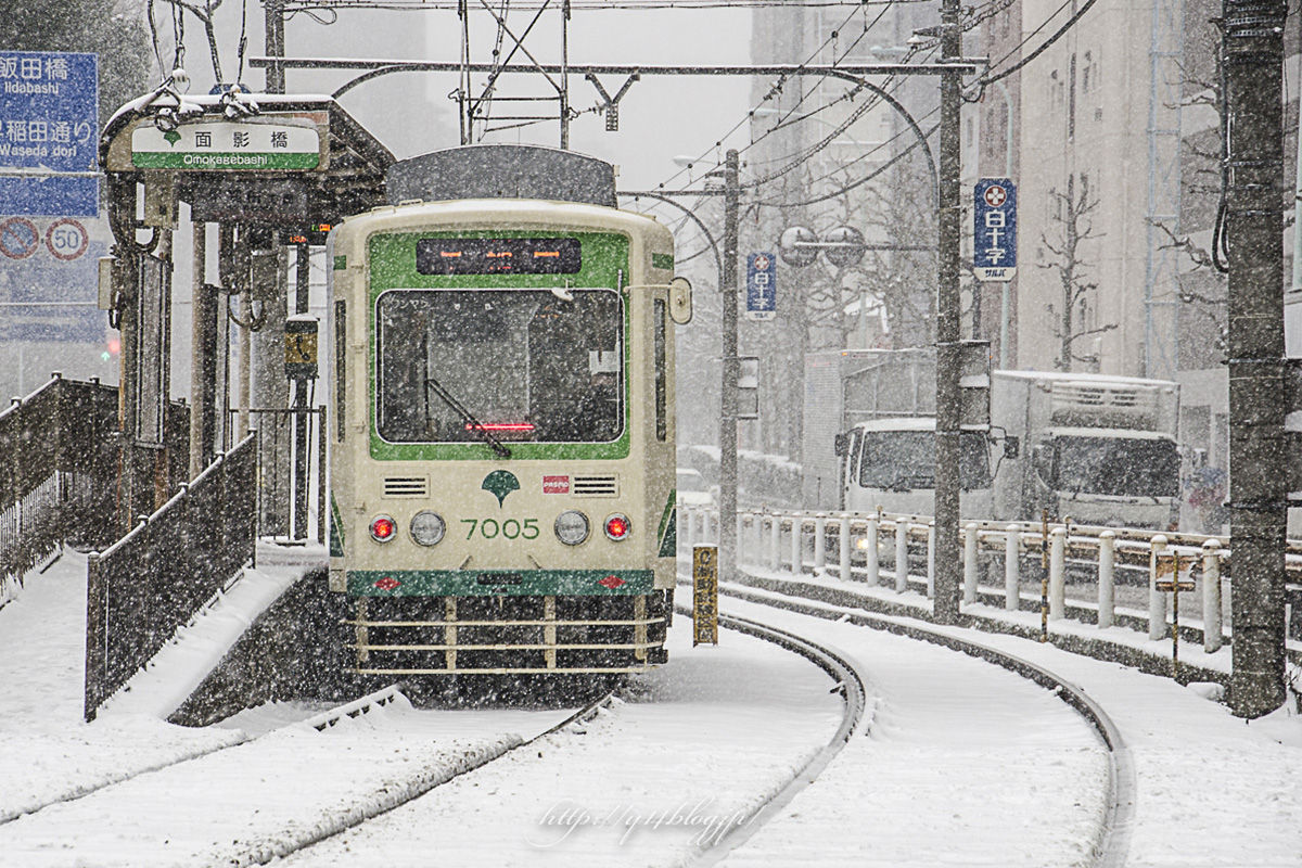 2月 撮影まとめ 雪の東京 雪の庭園 雪のスカイツリーなど Y 14 写真撮影紀 2月 撮影まとめ 雪の東京 雪の庭園 雪のスカイツリーなど Y 14 写真撮影紀