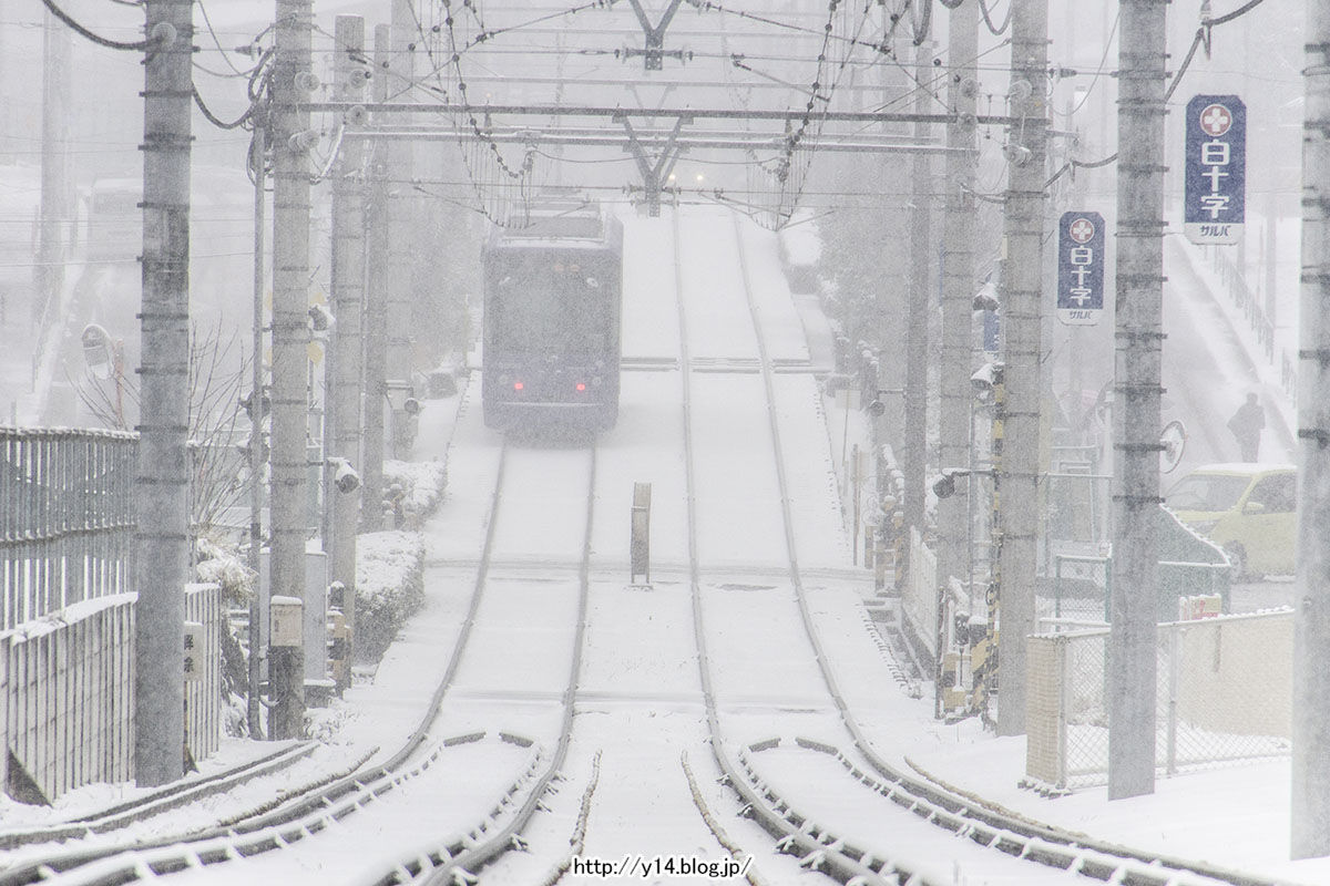 面影橋・早稲田・雑司ヶ谷】雪の中の都電荒川線 : Y-14 写真撮影紀
