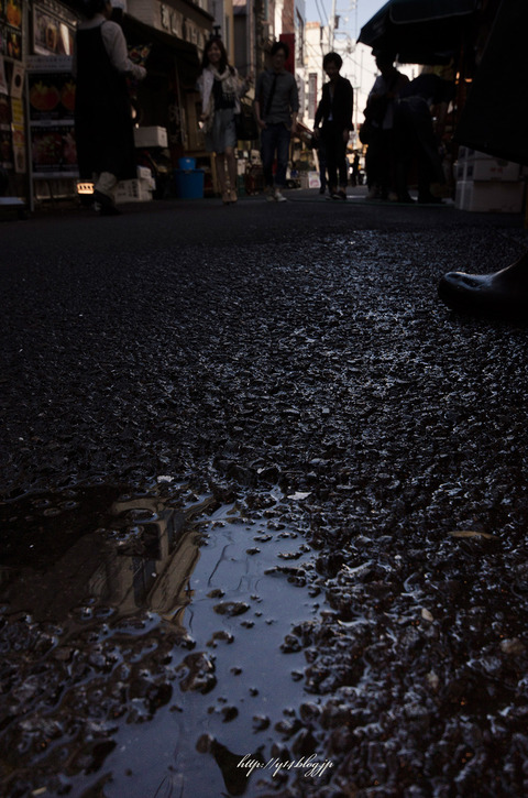 Tsukiji0511-4276