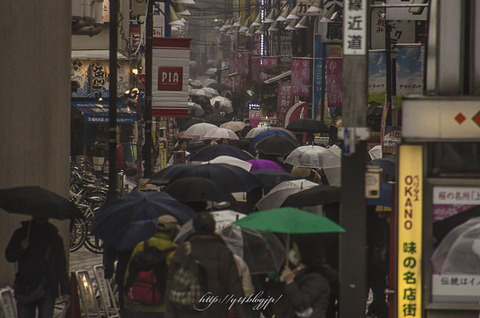 2015_Ueno0302-8099