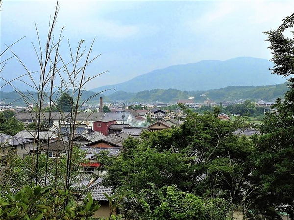 ((山本神社権現2014
