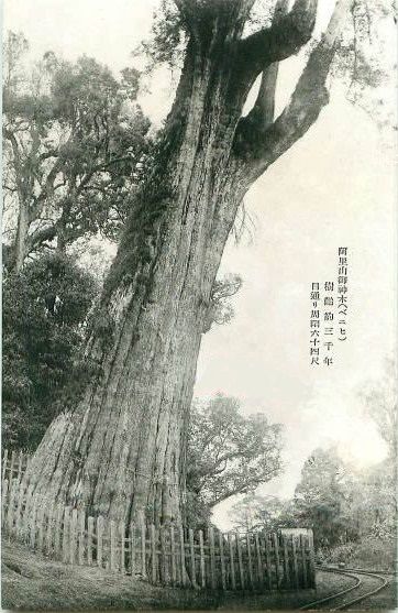 イメージ 12