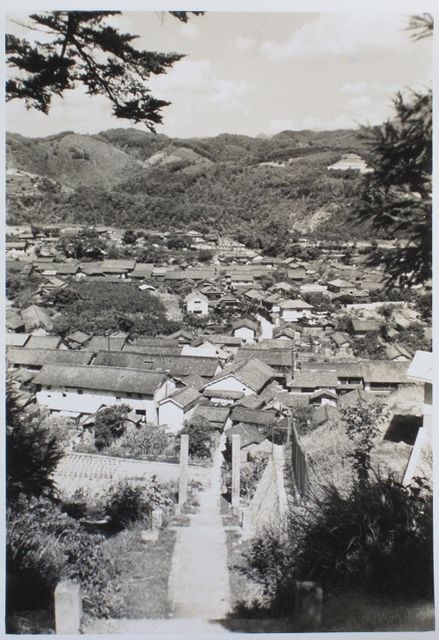 イメージ 10