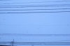 0229 降りつもる雪とともに〜電線
