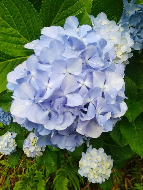 BeautyPlus_20220704102330714_save