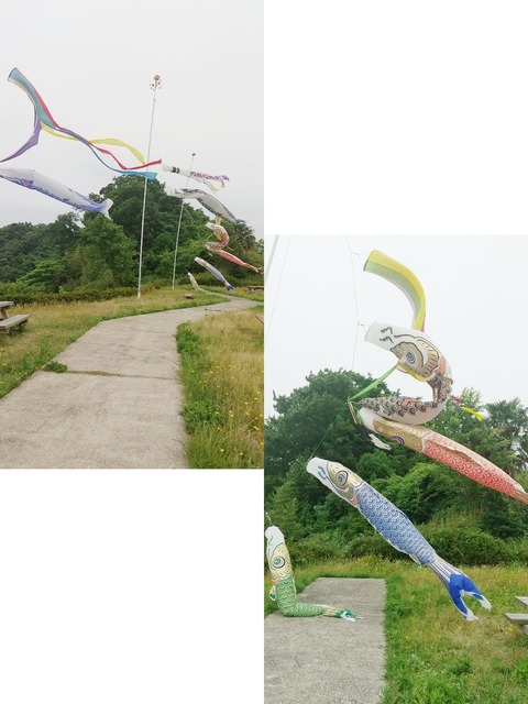 BeautyPlus_20220608121305820_org