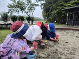 IMG_20260830_115503551_HDR