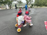 IMG_3687