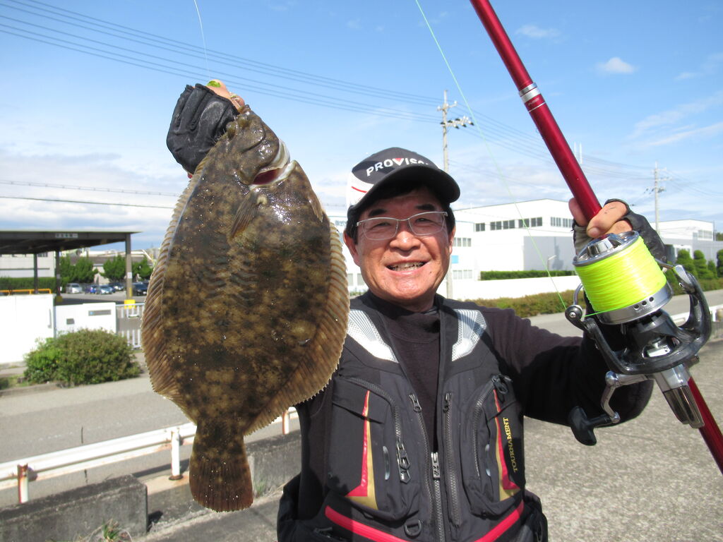 34cm大型マコガレイがヒット 明石市東二見人口島の花見ガレイ投げ釣り 百戦錬磨 34cm大型マコガレイがヒット 明石市東二見人口島の花見ガレイ投げ釣り 百戦錬磨