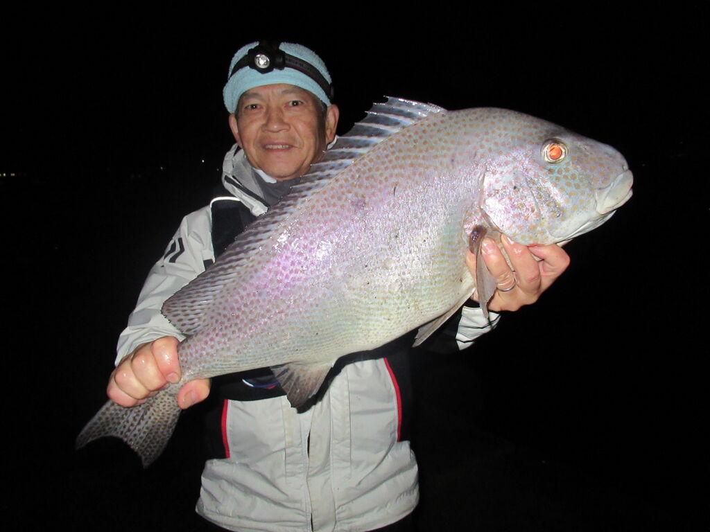 鹿児島県喜入港の大型マダイ投げ釣り : 百戦錬磨 ! 鹿児島県喜入港の大型マダイ投げ釣り : 百戦錬磨 !
