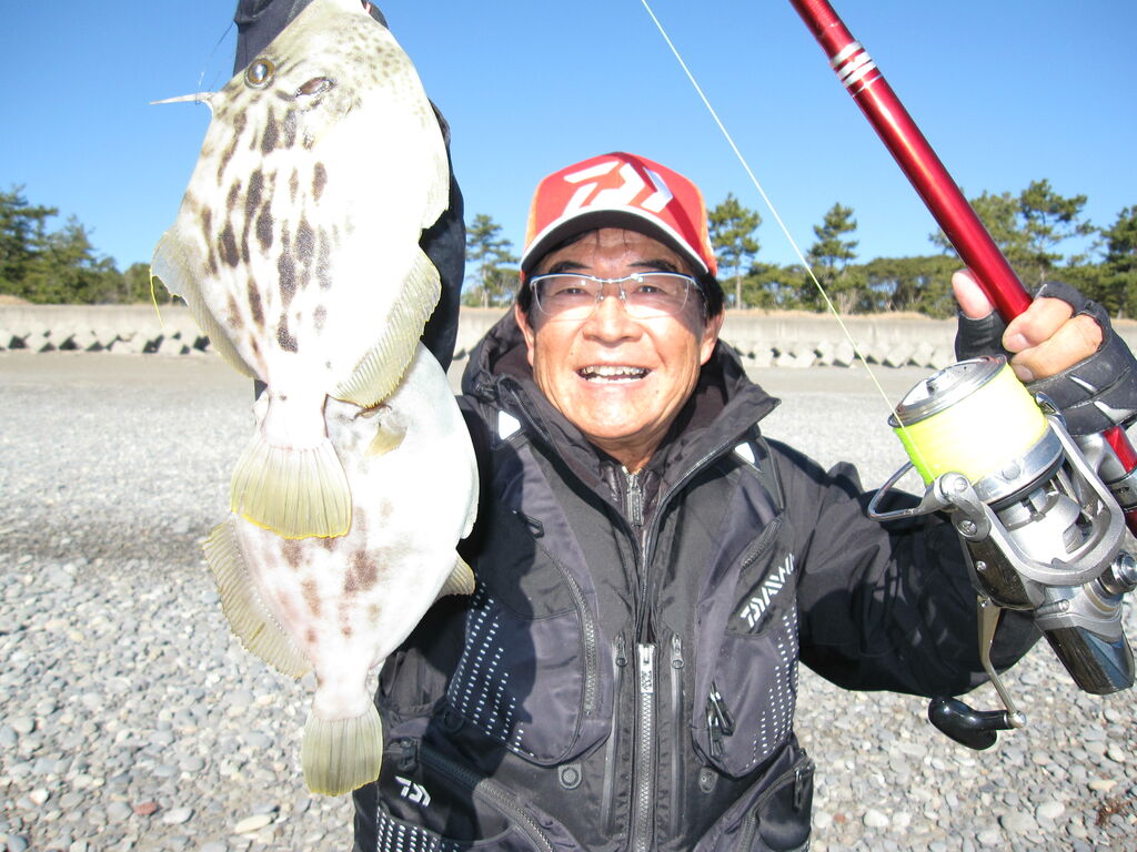 百戦錬磨・25cm良型カワハギがダブルヒット!徳島県大里松原海岸の投げ