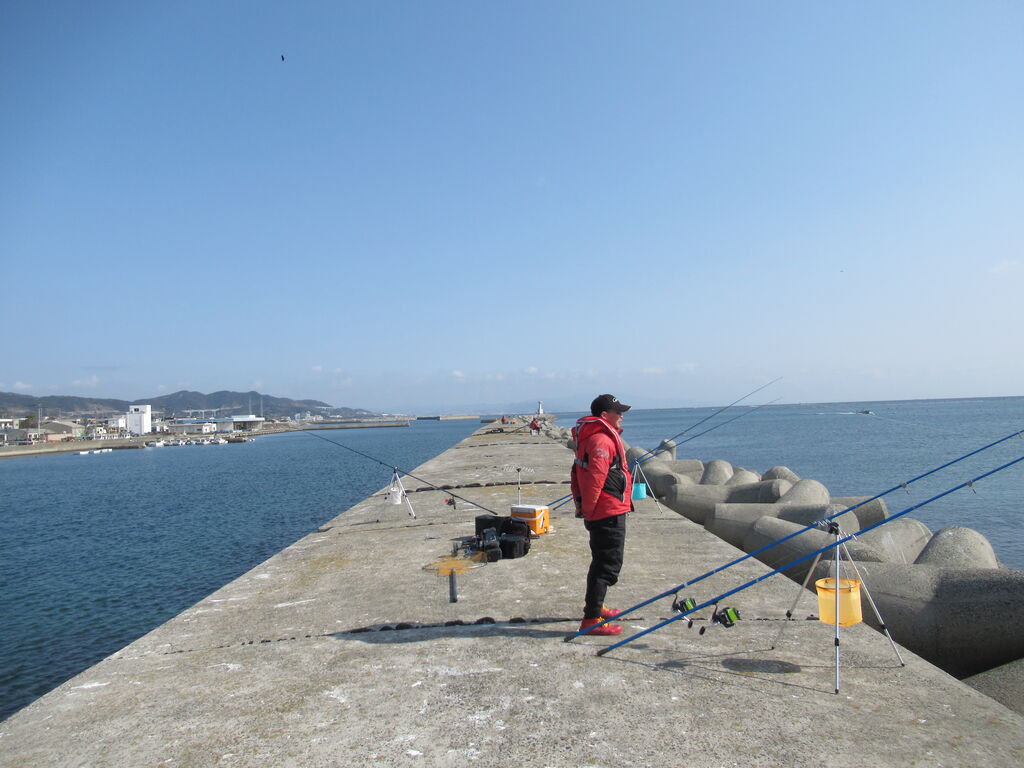 ３４ｃｍ花見ガレイがヒット 淡路島仮屋漁港一文字波止の投げ釣り 百戦錬磨