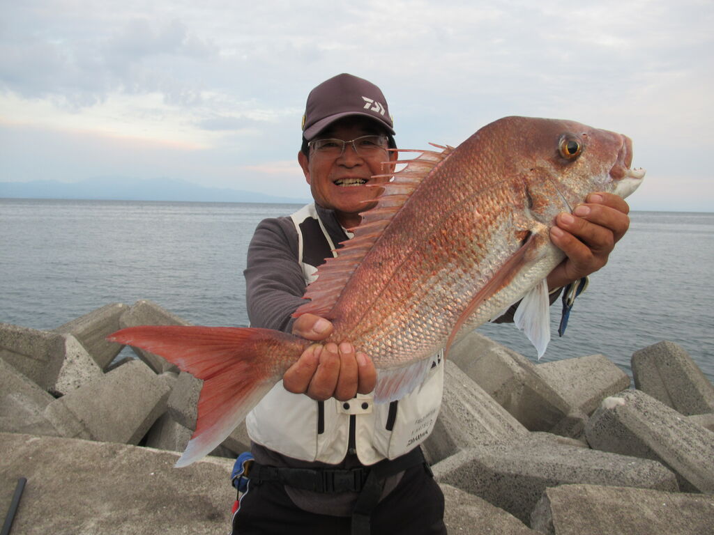 鹿児島県喜入港の大型マダイ投げ釣り 百戦錬磨