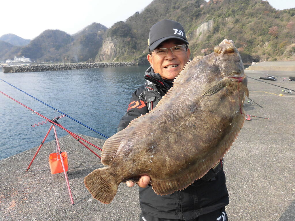 ５２ｃｍ巨大カレイ現る 明石市林崎漁港の投げ釣り 百戦錬磨