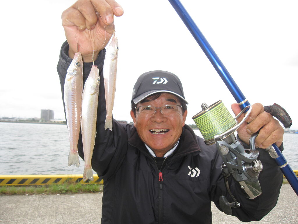 カレイ名人の神業を見た!島根県境水道のキス投げ釣り : 百戦錬磨 ！