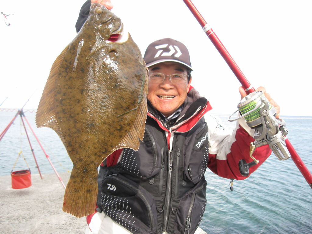 出た！50cmジャンボカレイ淡路島仮屋漁港一文字波止の投げ釣り : 百