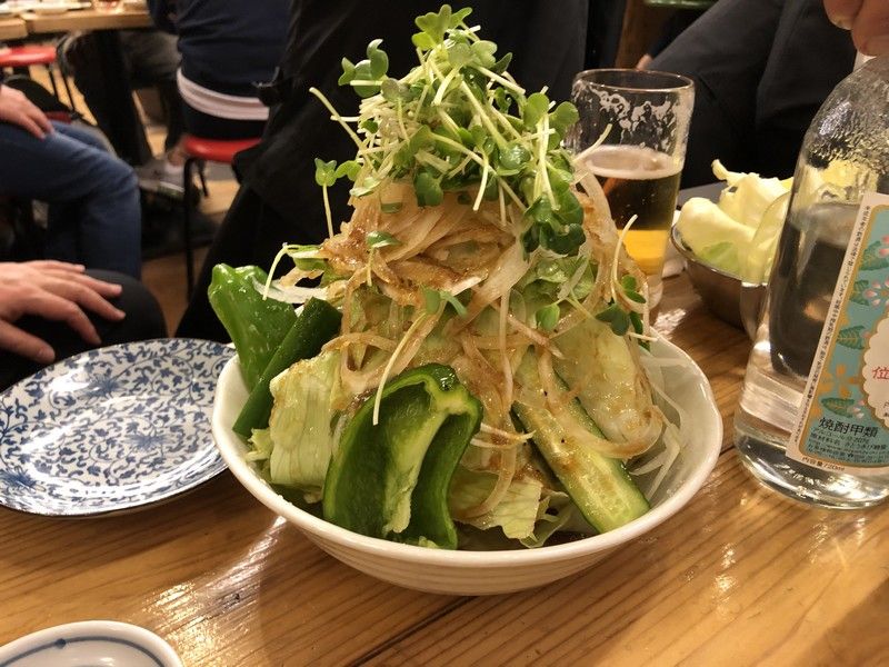 マグナムグリーンサラダ 昨日 今日 そして未来へ マグナムグリーンサラダ 昨日 今日 そして未来へ