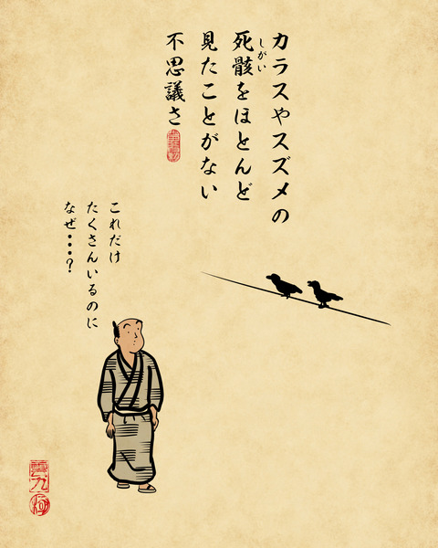 20231214外を歩いて感じる素朴な疑問5