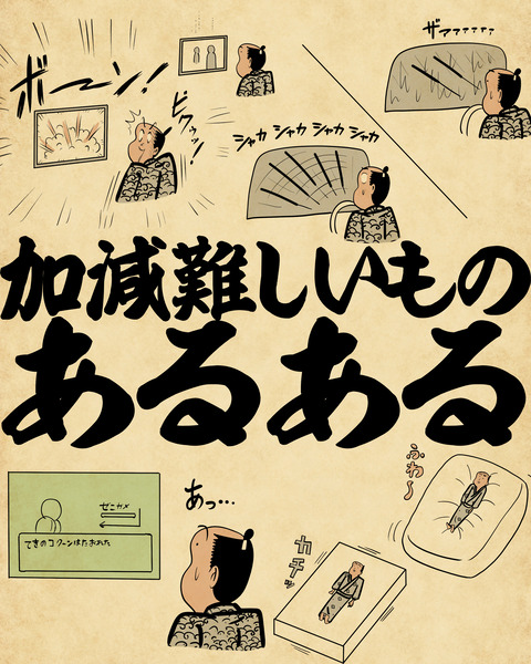 20241224加減難しいもの0