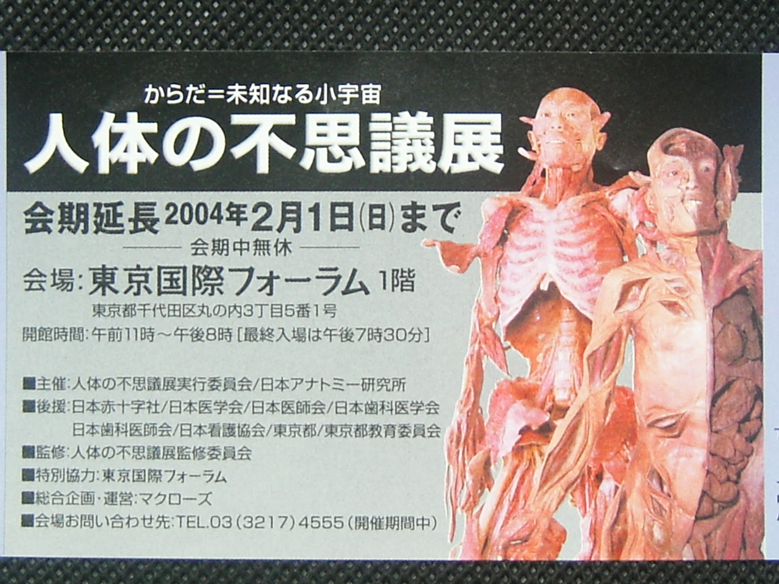 人体の不思議展 夢航路案内人
