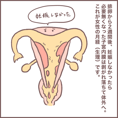 6CB0FD9A-23DE-410E-9E64-6AA3B02A7874