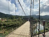 IMG_2705