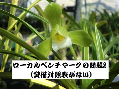 2021.05.06ローカルベンチマークの問題2(貸借対照表がない)