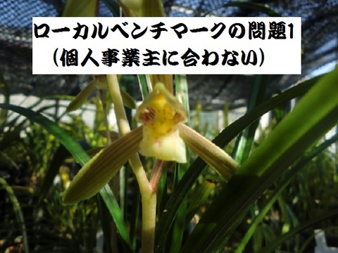 2021.05.05ローカルベンチマークの問題1(個人事業主に合わない)