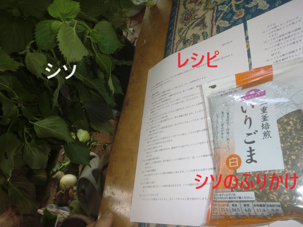 シソ持参はレシピ付き&ふりかけ付き : 「いのち輝き塾」…人が輝く、企業が輝く、地球が輝く