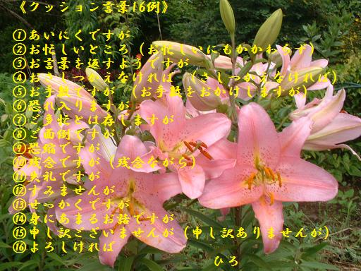 クッション言葉に真心を添えてあなたの好感度をアップさせよう クッション言葉16例 いのち輝き塾 人が輝く 企業が輝く 地球が輝く