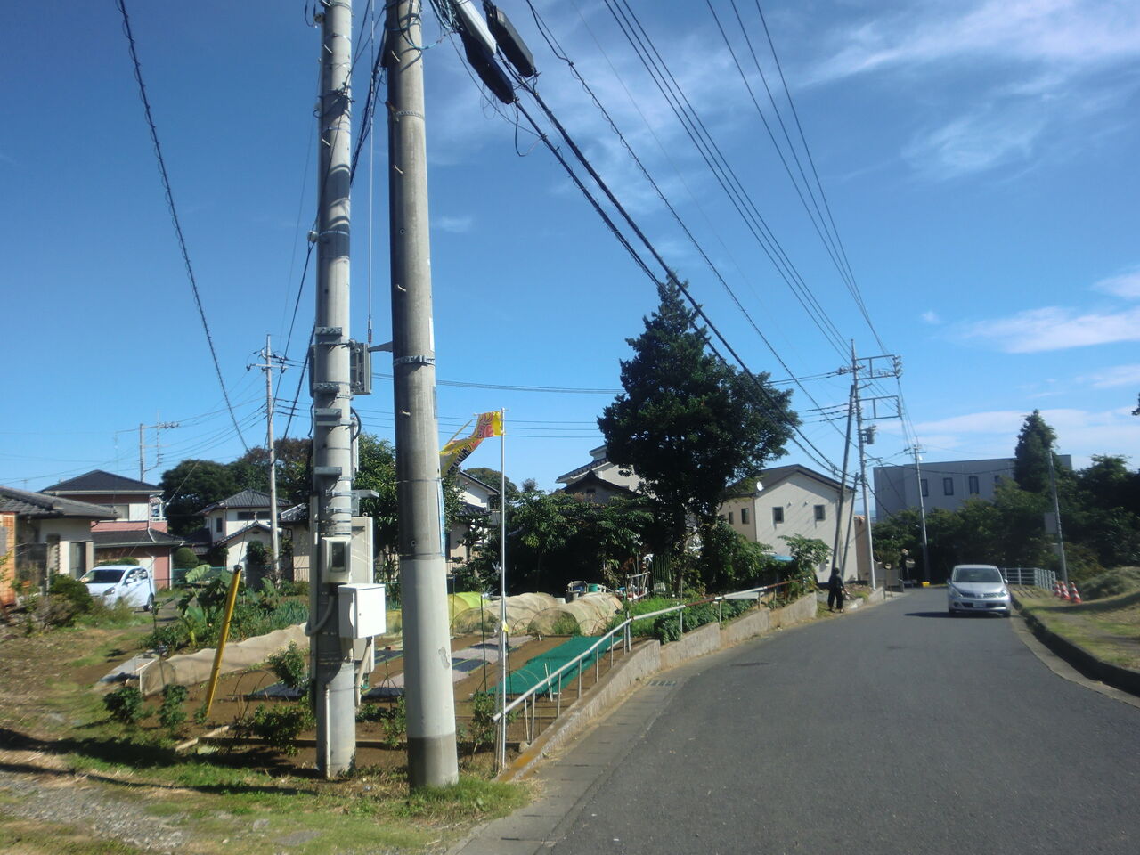 敷地内の電柱を抜いてもらいました いのち輝き塾 人が輝く 企業が輝く 地球が輝く