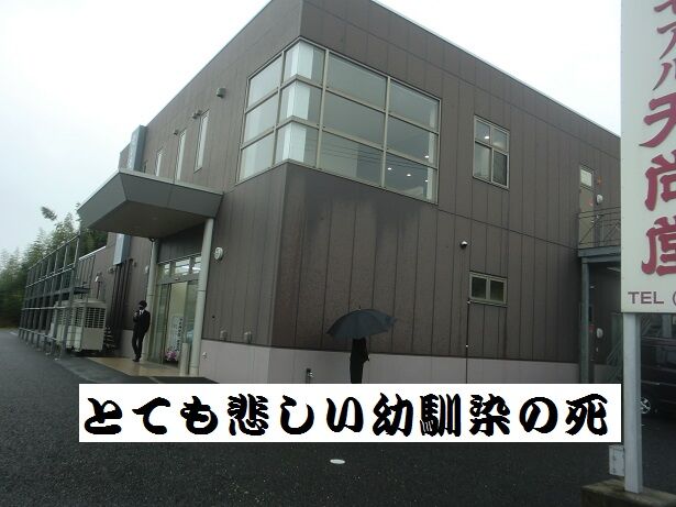 とても悲しい幼馴染の死 いのち輝き塾 人が輝く 企業が輝く 地球が輝く とても悲しい幼馴染の死 いのち輝き塾 人が輝く 企業が輝く 地球が輝く