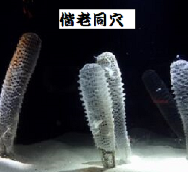 白い物体は何だか分かりますか 読み方と意味は いのち輝き塾 人が輝く 企業が輝く 地球が輝く