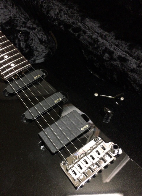 ピックアップ レビュー EMG SLV-X&SLV : Report From My Trip～旅先