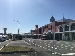 IMG_4229