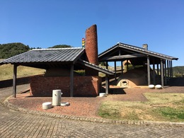 IMG_4231