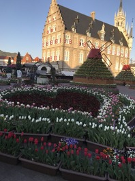 IMG_4394
