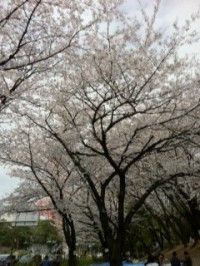 写真 1