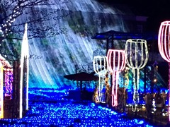 IMG_4301